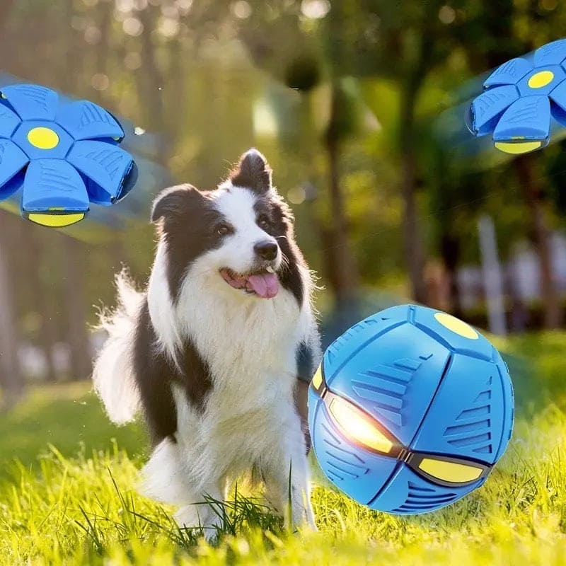 Magic Flying Saucer Ball, Outdoor Flat Throw Disc Ball, Foot Pressure Decompression Vent Ball, UFO Saucer Deformed Ball, Elastic Flying Saucer Toy for Kids, Frisbee Ball Dog Toy, Kids Playing Stomp Ball Magic Flying Saucer Ball, Outdoor Flat Throw Disc Ball, Foot Pressure Decompression Vent Ball, UFO Saucer Deformed Ball, Elastic Flying Saucer Toy for Kids, Frisbee Ball Dog Toy, Kids Playing Stomp Ball